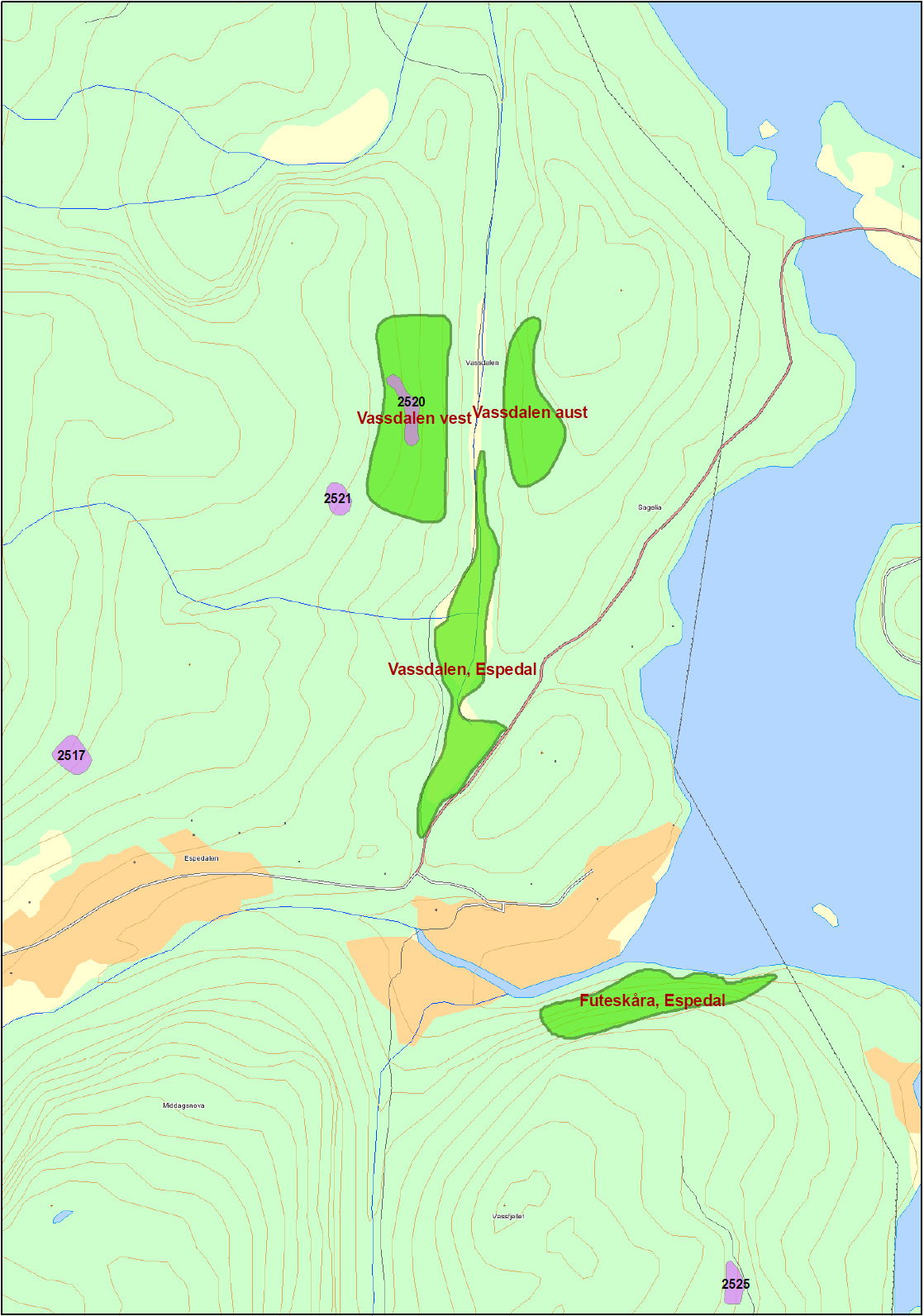 Vedlegg 4. Sammenfallende naturtyper og miljøfigurer: Vassdalen vest (naturtype gammel løvskog, B-verdi), 2520 (livsmiljø eldre løvsuksesjon, fuktig).