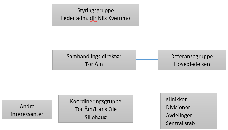 Koordineringsgruppens rolle er i hovedsak å kartlegge hva som finnes av aktuelle plandokumenter for å være i stand til å svare ut bestillingen.