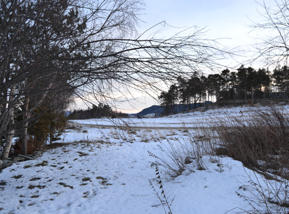 ANKOMST I følge delegasjonsvedtaket er det planlagt to ankomstveger inn til nye Charlottenlund gravplass. Nordre ankomst, fra Almevegen, regnes som den viktigste.