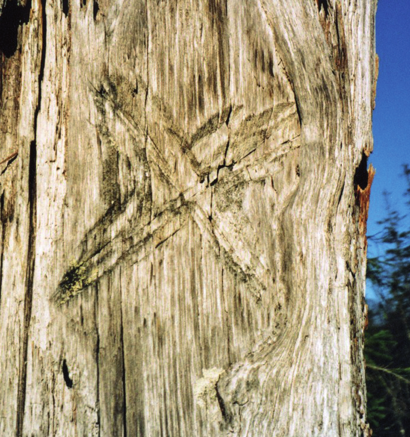 Barksårene kan være laget med tanke på at inskripsjoner skulle gjøres eller inskripsjonene kan ha vært gjort allerede på eksisterende sår etter samisk barktaking eller stimerking.