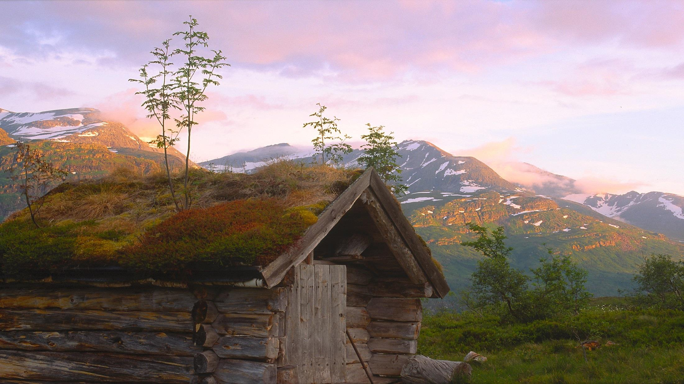 Visjon: Statskog skal ivareta og