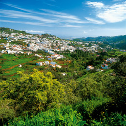 Teror Teror er en grønn flott innlandskommune nord på Gran Canaria med i underkant av 13.000 innbyggere.