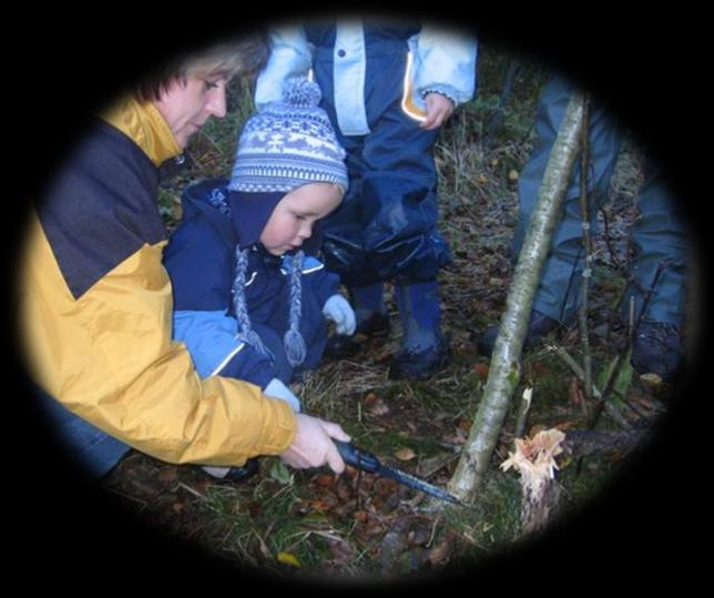 VARSLA TILSYN 2011 2012 Barnehage Tilsyn / kven Når Kva Korleis Varaldsøy Kvinnherad Grete - Wenche v.