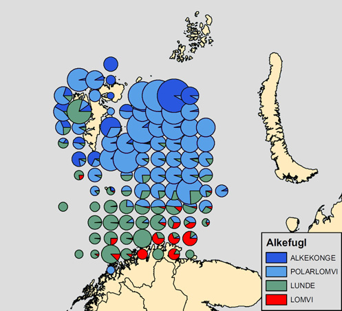 føres inn i Barentshavet med den norske kyststrømmen er nok en god forklaring på det høye antallet lunde sørvest i Barentshavet på sensommeren.