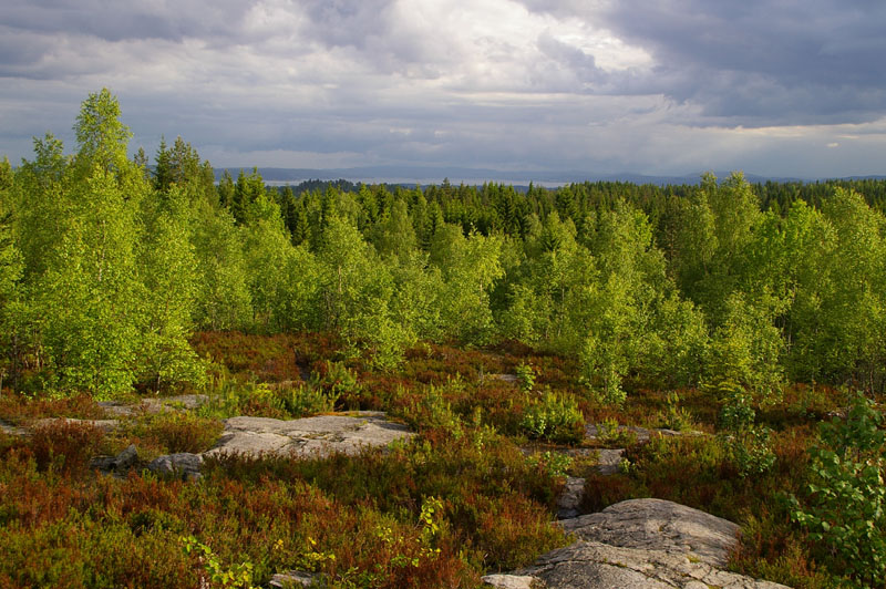 Utsikt mot fjorden fra den