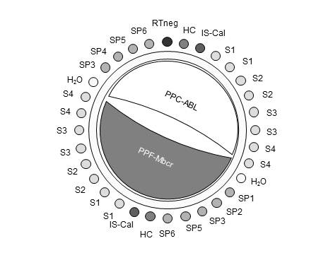 Figur 6. Anbefalt rotoroppsett for hvert eksperiment med ipsogen BCR-ABL1 Mbcr IS- MMR-settet.