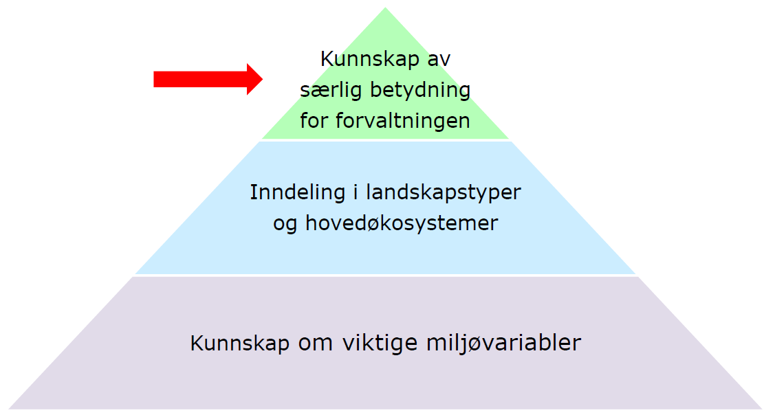 «Økologisk grunnkart» Kartfestet