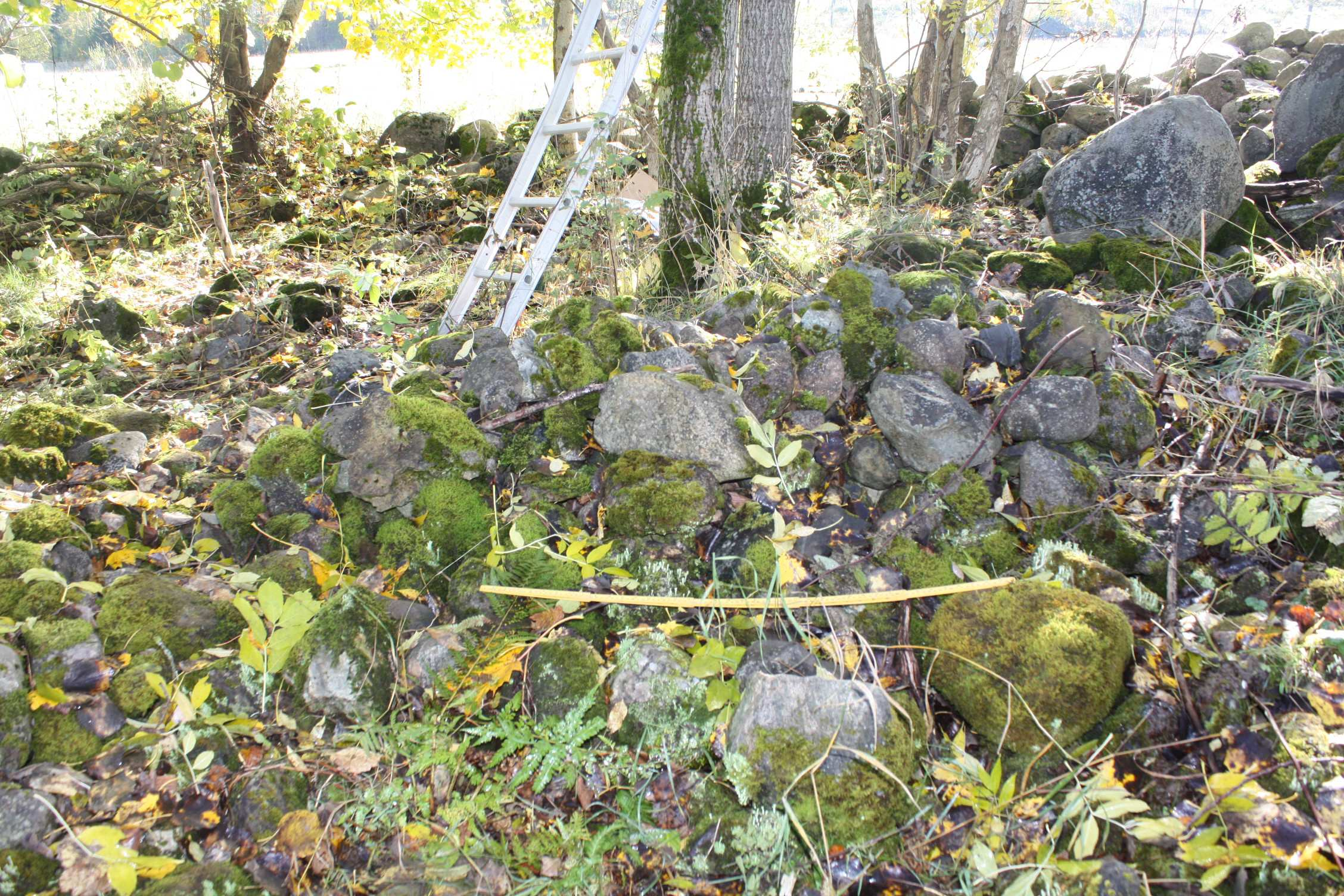 Reguleringsplan Gbnr 7/1 Drengsrud Foto 12: Midtre del av F7, sett mot øst-sørøst