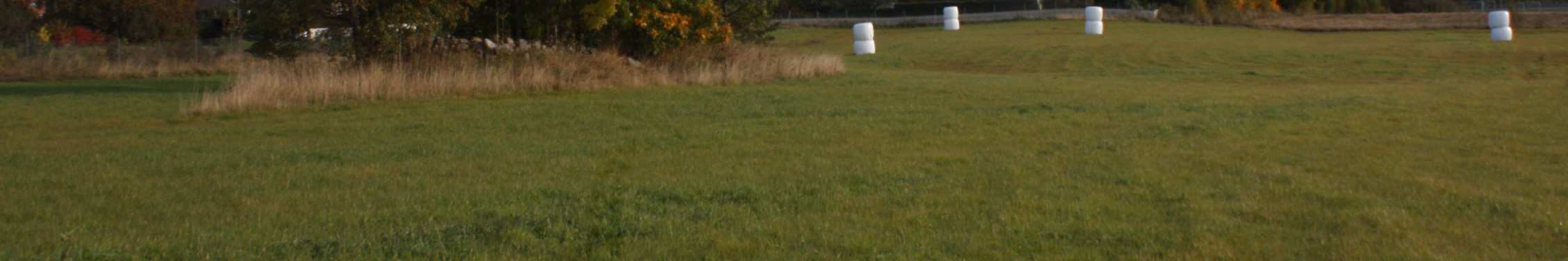 Noen steder i vest og øst er berg synlig i markoverflaten. En åkerholme ligger på den nordøstre delen av jordet, ca. 100 meter fra den østre plangrensen og ca.