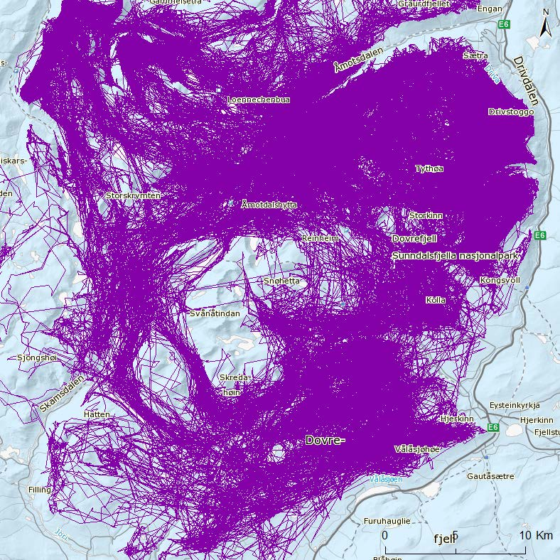 Vi ser for eksempel at en overveiende del av GPS-dataene fra 2009 stammer fra Hjerkinnplatået og skytefeltet.