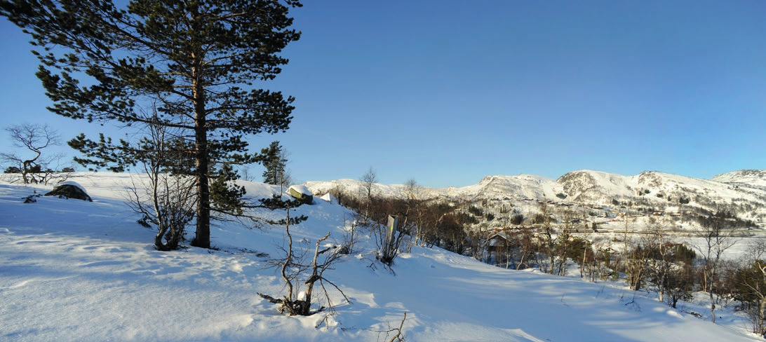 Sjelden mulighet Tomt S1 er en stor mulighet for deg som har lyst å være med og