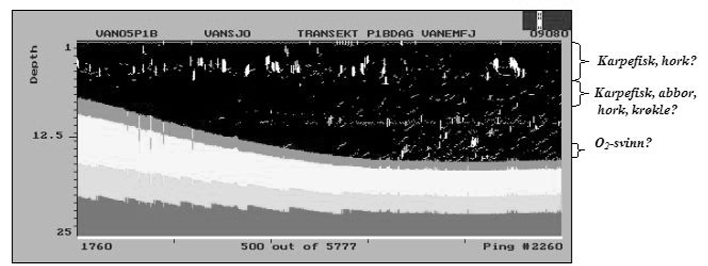 Figur 7. Ekkogrammer fra Vanemfjorden, Vansjø 7.08.05 på dagtid. Det vises både enkelt fisk og stimer av fisk. Der totaldypet er større enn ca.