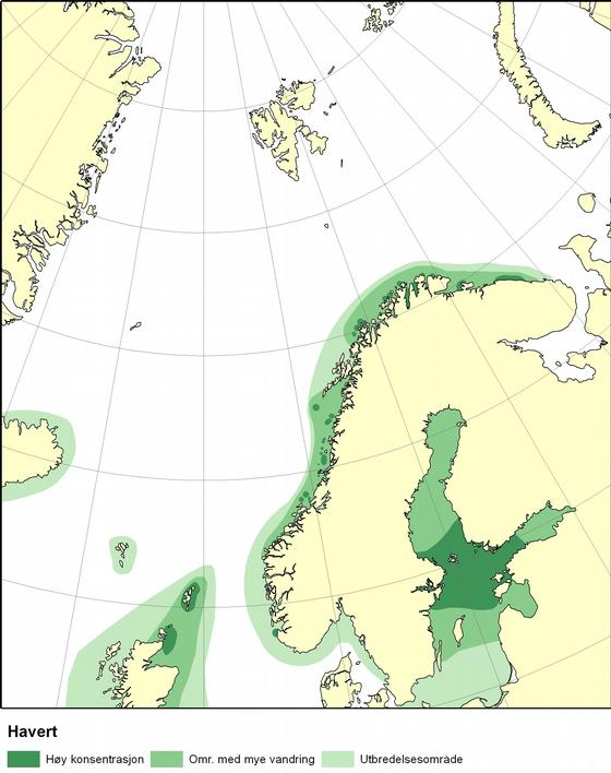 fordeling av