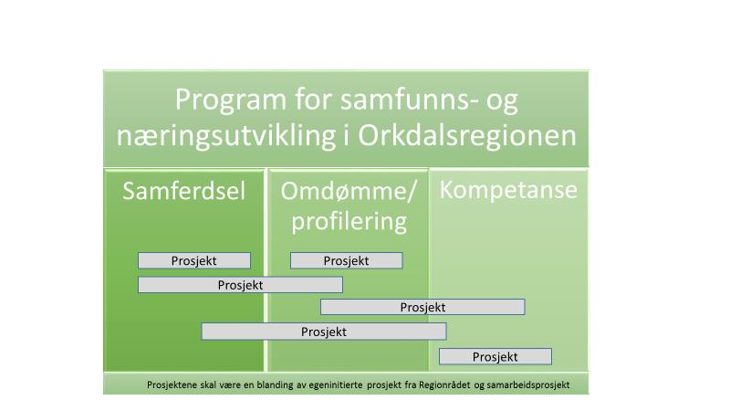 Program- og prosjektorganisering -