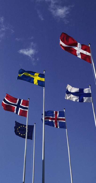 Nordisk samarbeid Nordens språkråd ble opprettet av Nordisk ministerråd i 2004. Finland overtok formannskapet etter Norge i 2007.