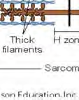 filament.