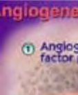 7 Angiogonese igangsettes ved