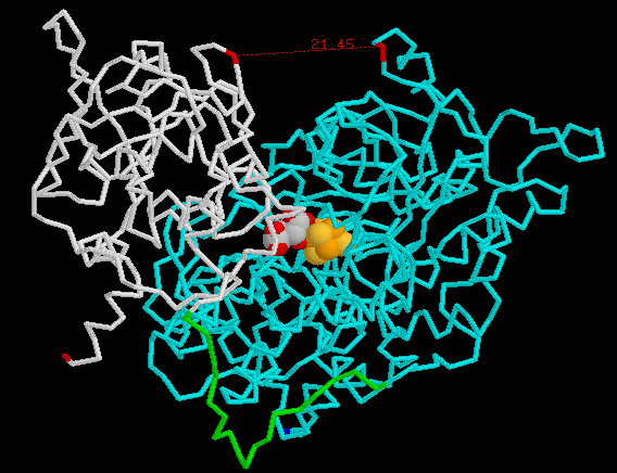 28 2 Aconitase omorganiserer sitratmolekylet Sitronsyren