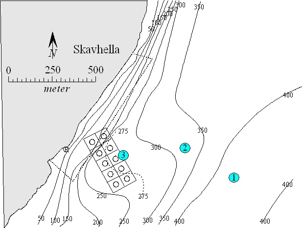 Lokaliteten ved Skavhella Figur 1 og 2 viser at det er svært god dybde i området under og rundt anlegget.