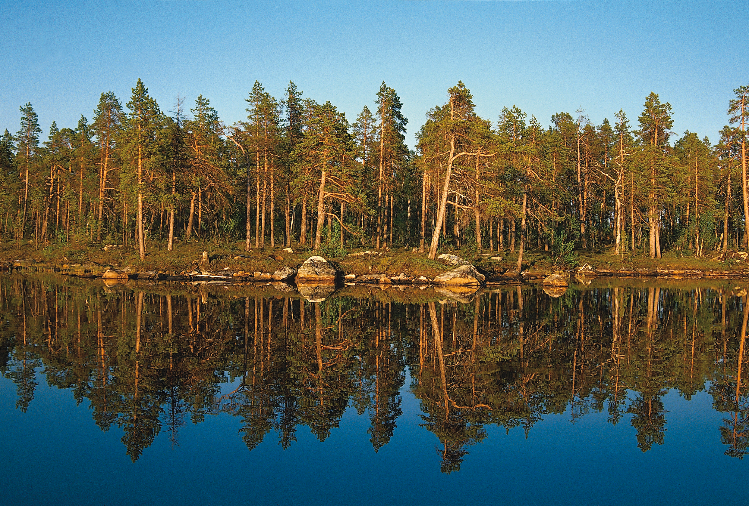 Oppdragsrapport fra Skog og landskap 07/2014 ----------------------------------------------------------------------------------------------------------------- AREALREPRESENTATIV OVERVÅKING AV SKOG I