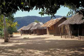 3 fakta om ngabu, malawi fortsettelse på Bakgrunnsinformasjon om malawi mango, papaya og appelsiner.