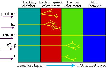 2.1. ATLAS (A TOROIDAL LHC APPARATUS) 11 2.1.3 Magnetsystemet Eit magnetisk felt er nødvendig for partikkel identifikasjon, ladde partikklar bøyer seg i eit magnetfelt, kor mykje dei bøyer seg kjem