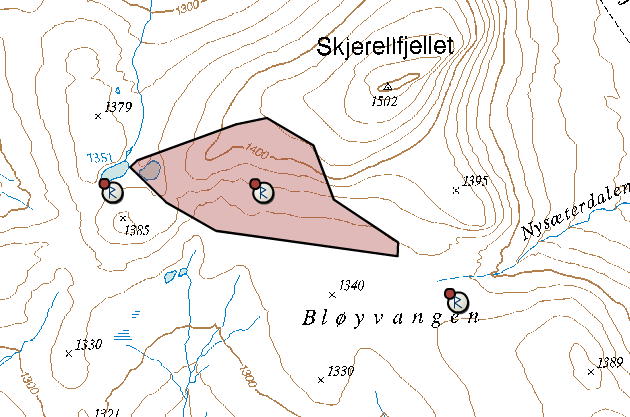 5.1.1.2 Bløyvangen Figur 3: Lokalitet