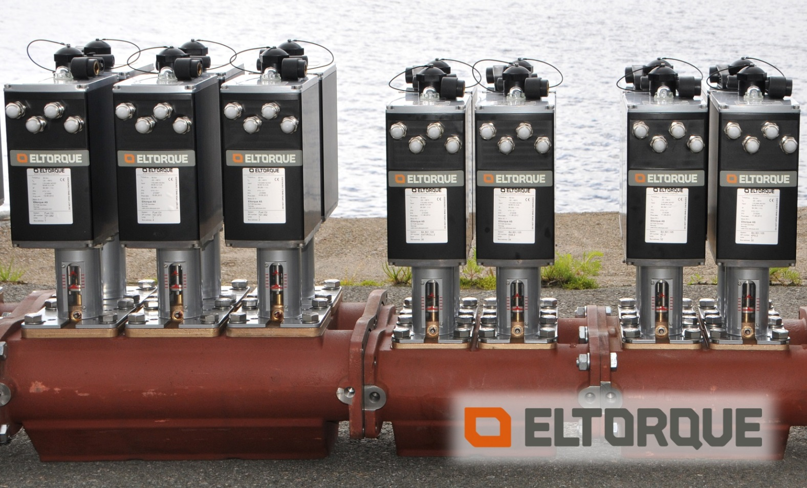 PTM Valve Manifolds with Eltorque Actuators Note manual emergency operation on top of actuators.