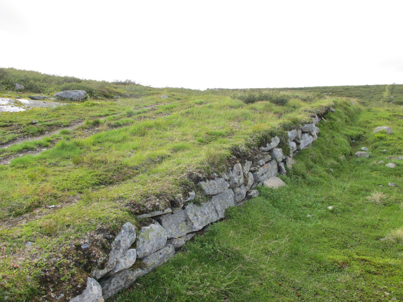 Vegen er bygget opp i terrenget på tørrmur bygget av lite bearbeidet eller tilhogd stein hentet fra nærområdet. Foto Kongevegprosjektet, 2010. 4.