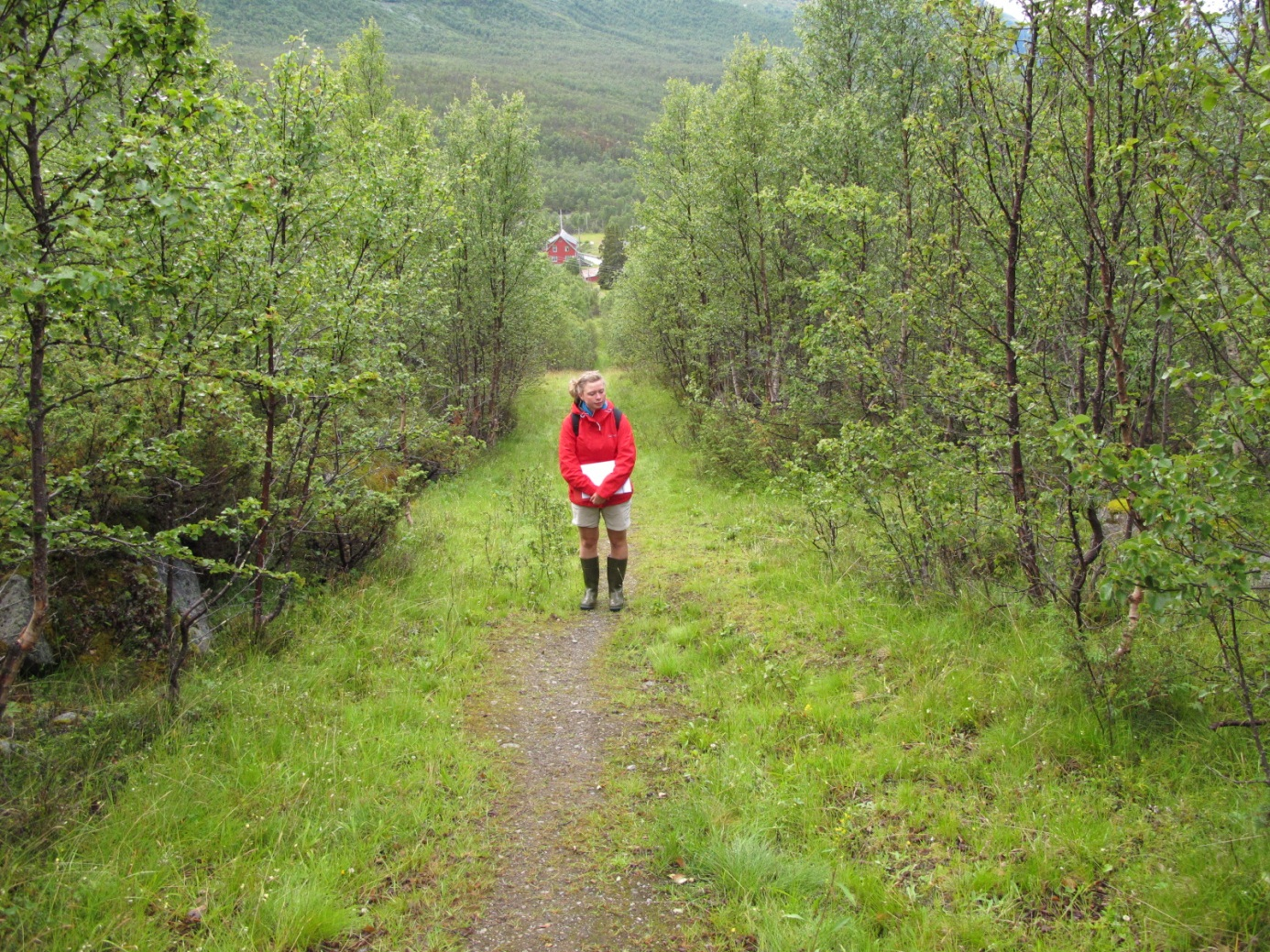 5.1 Sone 1: Fra Maristova til Håvardskleiva (Kartblad 1-2) Tett skog preger hele sone 1. Foto Kongevegprosjektet, 2010. Beskrivelse Denne parsellen er ca.