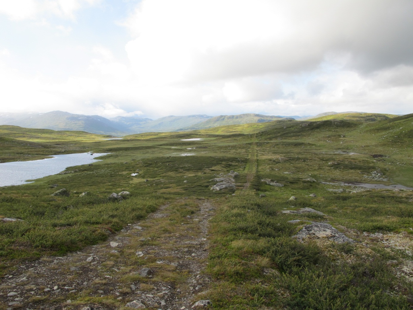 5.2 Sone 2: Håvardskleiva Stiftstøtta (Kartblad 3-7) Sårbart og nakent landskap i sone 2. Foto Kongevegprosjektet, 2010.