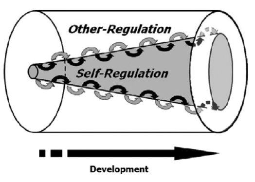 C. Reguleringsmodell Transaksjonell regulering.