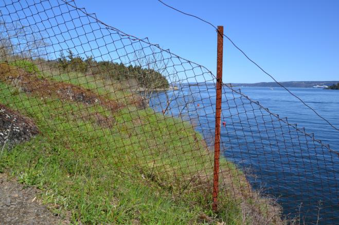 ubetydelig verdi og forholdene for øvrig tilsier det.