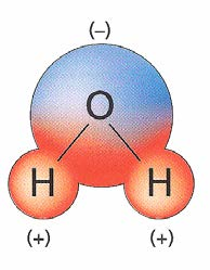 På motsatt side av kula blir det da underskudd av elektroner og da blir det overskudd av positiv ladning der.