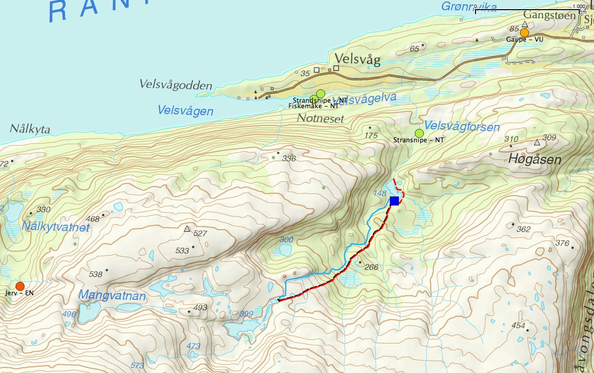 Figur 8. Oppsummering av det som er registrert av verdifulle naturtyper og rødlistede arter i traktene rundt influensområdet. Det ser ut som de største verdiene er i forbindelse med fugler og rovdyr.