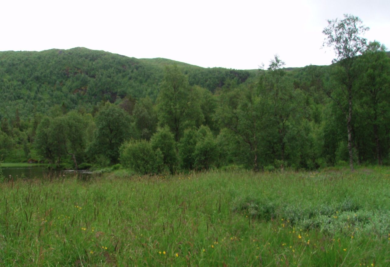 Mangvatnan på 397 moh. Foto: Bente Sved Skottvoll. Figur 4.