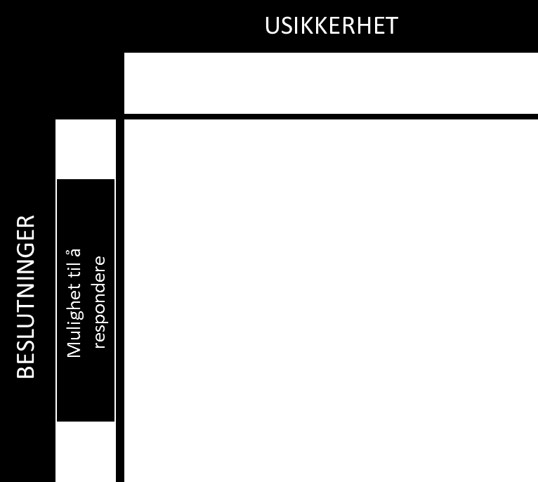 En vil kunne respondere adekvat på denne avklarte usikkerheten. Realopsjonen gir på denne måten en mulighet for å realisere en samfunnsøkonomisk verdi.