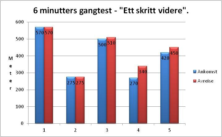 Alle i denne pasientgruppen tok