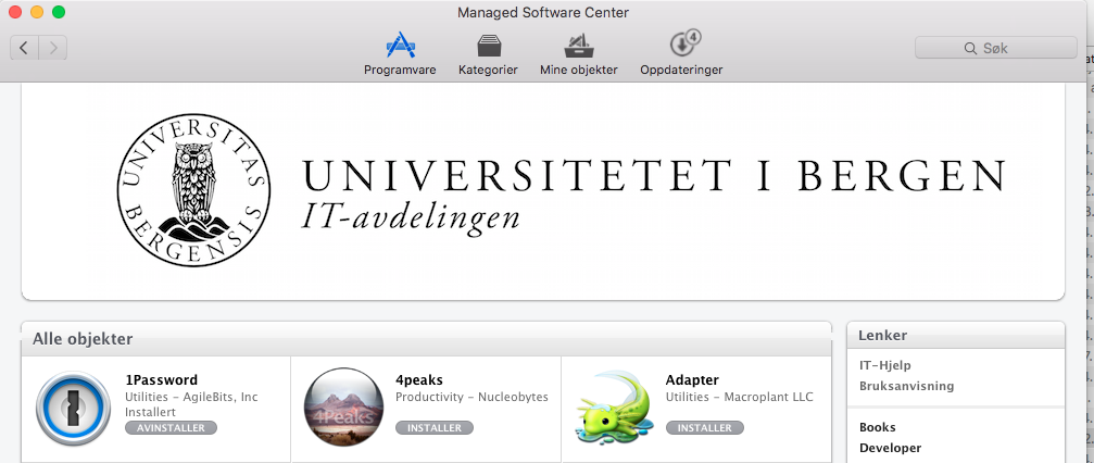 Før programmet er installert, står det INSTALLER som status.