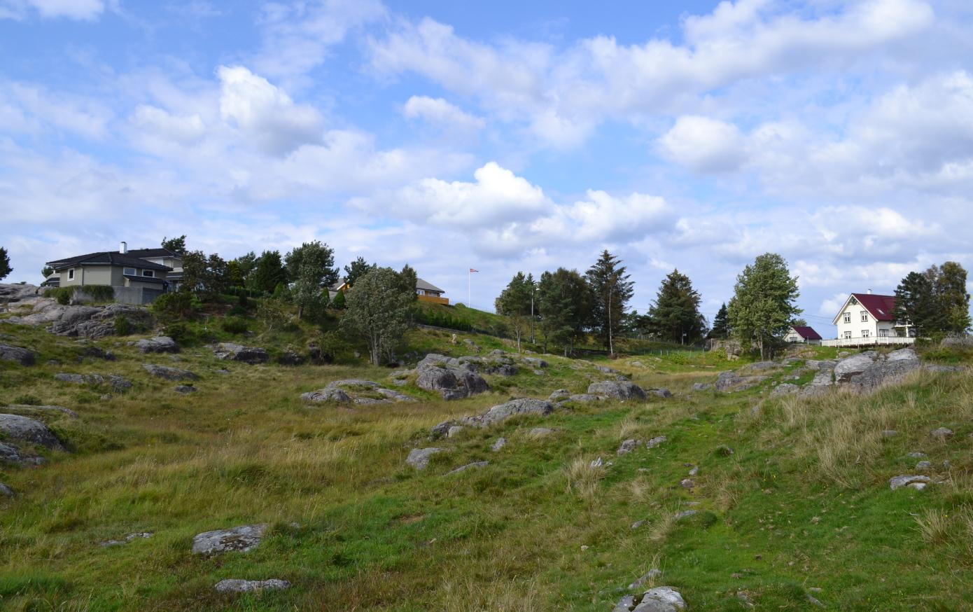 N07 Valen Området er eit lite område med beitemark og lynghei sør for byggefeltet på Tona. Tilkomst til sjø er bratt og dårleg og der det er mogleg å komme ned er det hytter eller industri.