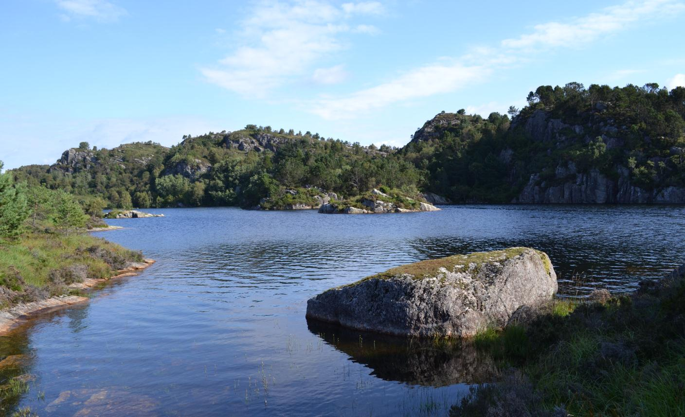 N08 Hjelteryggen-Knarrevik Område med skog, lynghei og vatn. Det er ikkje mogleg å gå rundt Storavatnet. Usikker bruk Ope lynghei med fleire mindre vatn og høgdedrag.