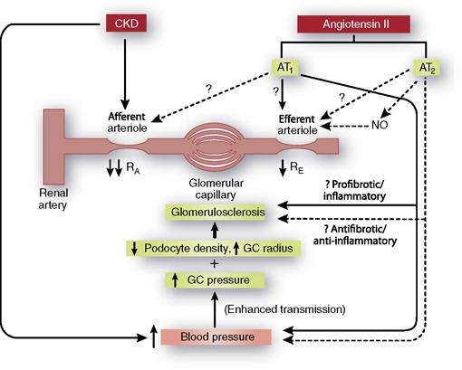 Kidney Int