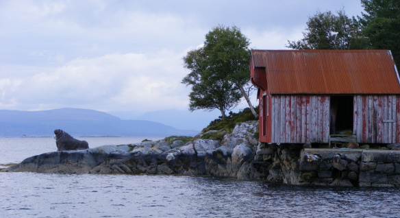 Til hensynssonene kan det gis retningslinjer eller bestemmelser.