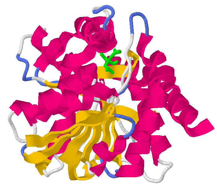 55 8 Malat dehydrogenase danner NADH NAD + Enzymet katalyserer det siste trinnet i sitronsyresyklus.