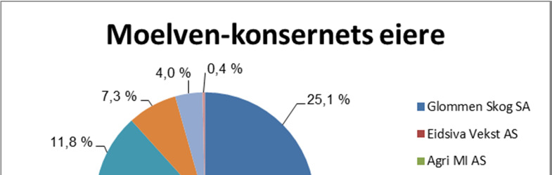 Dette er Moelven-konsernet Eierstruktur Moelven-konsernet eies av Glommen Skog SA (25,1 %), Eidsiva Vekst AS (23,8 %), Agri MI AS (15,8 %), Viken Skog SA (11,9 %), Mjøsen Skog SA (11,7 %), AT Skog SA