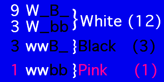 genotype of the white parent at the Y locus.