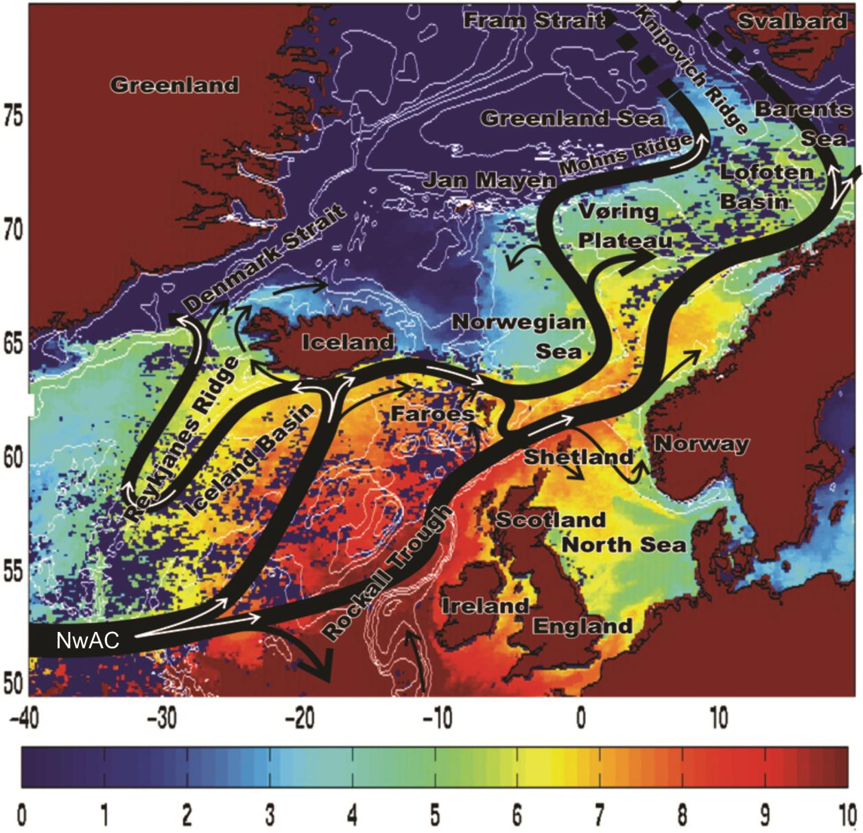 Kapittel 2 Geologisk rammeverk Det varme og saline vannet fra NwAC blir nedkjølt og synker i nordlige deler av Norske- Grønlandshavet.