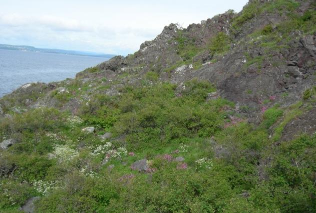 8.3 Åpen intermediær grunnlendt lyngmark (T2, C3) NiN-karakteristikk: Definert av LKM: KA 2&UF 1. LKM-basistrinn: KA de &UF def Fysiognomi: Åpen heipreget vegetasjon på grunnlendt mark.