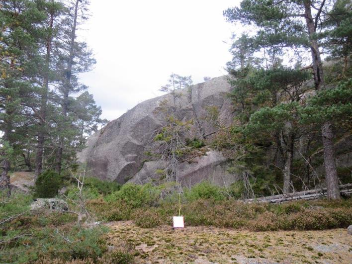 Flate B03211 (Grimstad, Aust-Agder, 175 m o.h.) Beskrivelse LSK: Hel flate i uproduktiv skog.