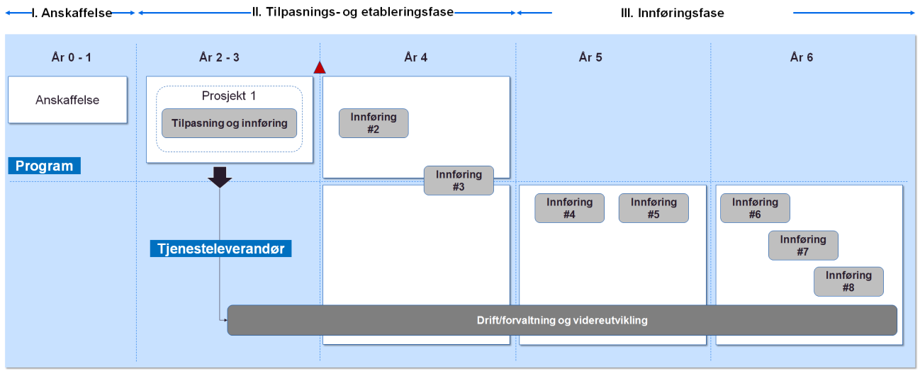 Prinsippene innebærer at det skilles mellom styringsrollen (myndighetsutøving), virksomhetsrollen (helsetjenesteproduksjon) og leveranserollen (leveranse av IKT-tjenester).